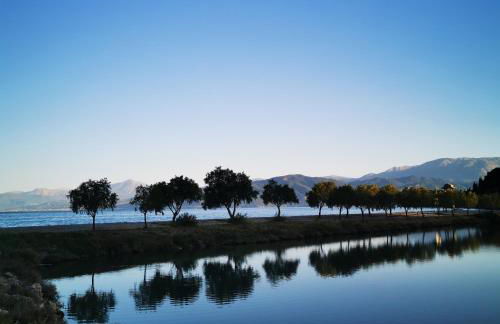 Hara's house - Foto 32