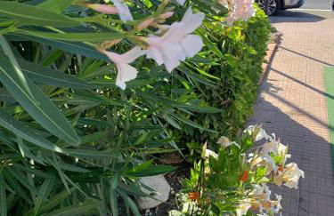 Andi Casa - Sicilia - vista mare - Foto 50