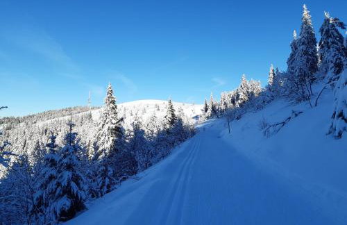 Kopf Frei auf 1000 Meter Wohnung 1 - Foto 45