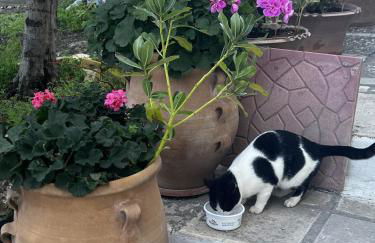 Katerina Charming Place - Foto 32