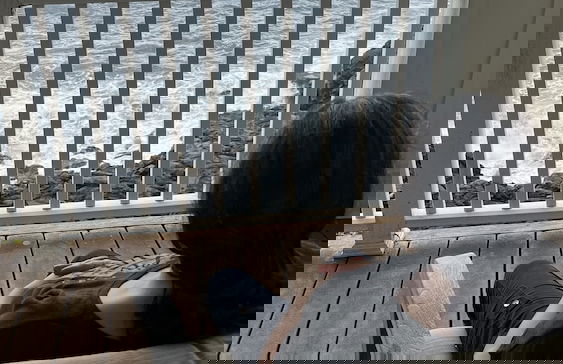 The Jewel Box 2 Bedroom Home by RedAwning - Foto 24