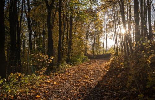 Holiday Home Jägerhaus by Interhome - Foto 35