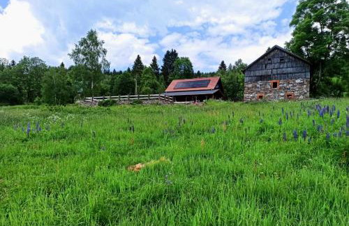 Chata nad Dziką Orlicą z jacuzzi - Foto 59