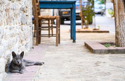 Oleander loft - Photo 38