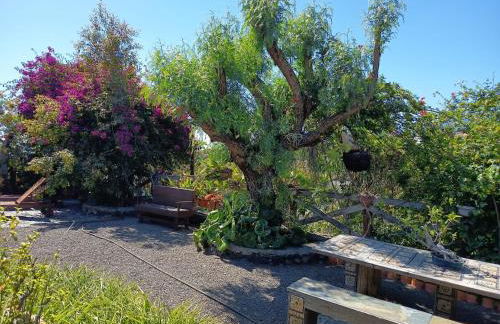 Finca Alda - Foto 35