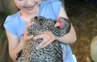 Bauernhof Koehlbrandt - Foto 86