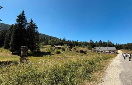 Appartement Les Ptits Loups - Foto 38