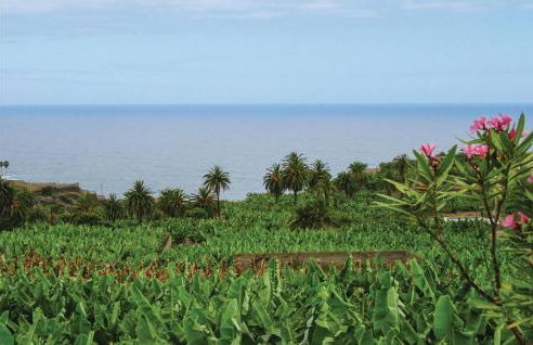 Casa Los Pinos - Foto 29