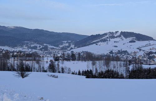 Góralski domek w Kluszkowcach - Foto 17