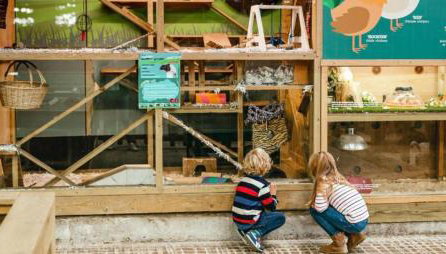 Dome Meadows 3 At Tapnell Farm - Foto 2