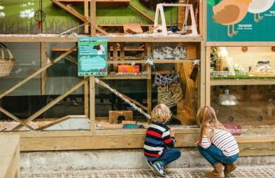 Poachers Lodge At Tapnell Farm - Foto 15