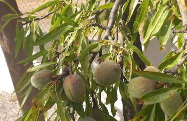 Villa Carmeryl - Photo 23