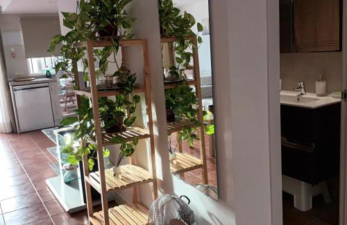 Apartamento Bambadela - Photo 15