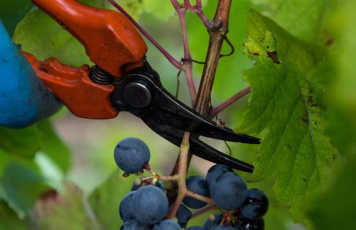 Gîte La Clématite - Foto 25