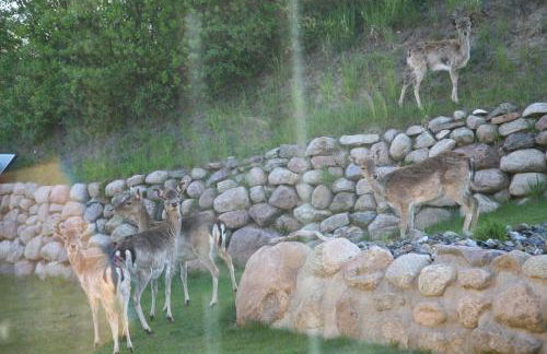 Alter Schwede - Seedorf - Foto 34