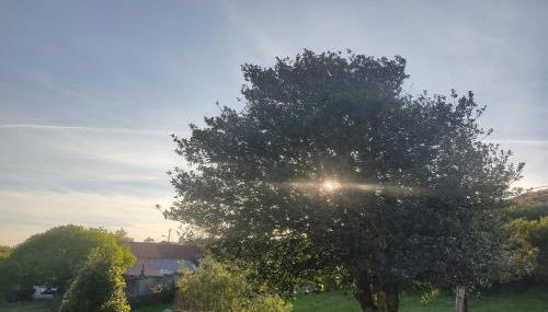 O Campo DaFolla - Foto 5, Garden