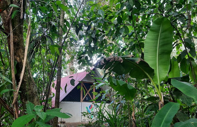 Costa Rica Glamping - Foto 10