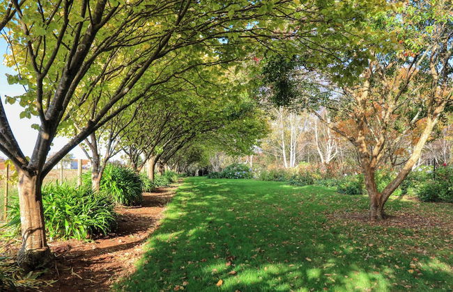 Boat Harbour Garden Cottages - Foto 40