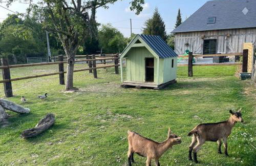 Maison à la campagne à 10 minutes d’Honfleur - Foto 6