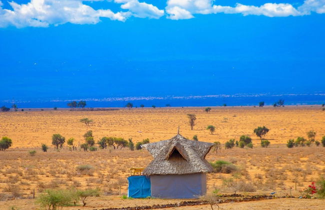 Amanya 1-bed Zebra Tent - Foto 10
