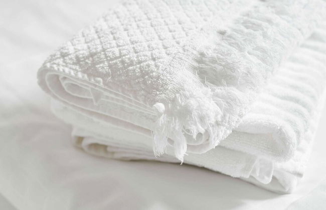 Flamboyant Farmhouse in Baarlo With Hot Tub, Garden - Foto 18