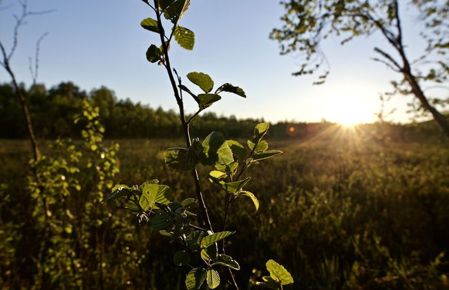 Villa Happy Fox - Photo 33