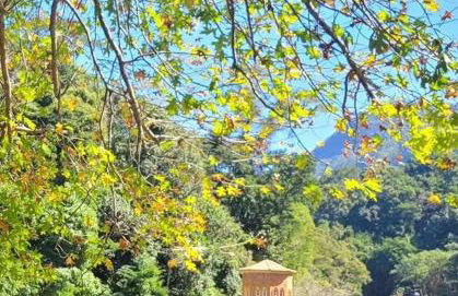 Refúgio na Serra Condomínio em Olaria, Nova Friburgo-RJ - Foto 57