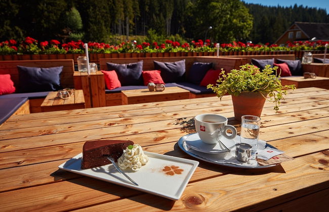 Residence Kovárna - Foto 54