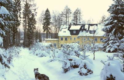 Thüringer Waldbaude - Foto 53