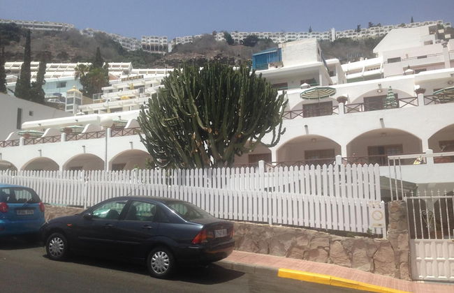 eó Corona Cedral - Foto 26