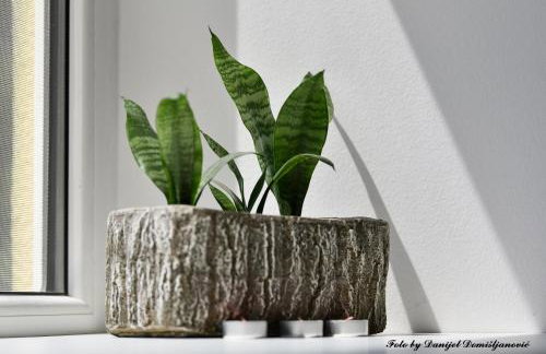 Studio apartman CENTAR - Foto 12