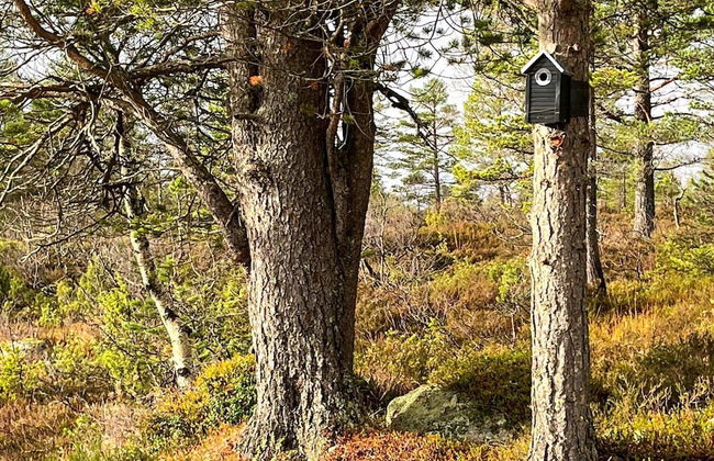 6 Person Holiday Home in Tjorhom - Foto 23