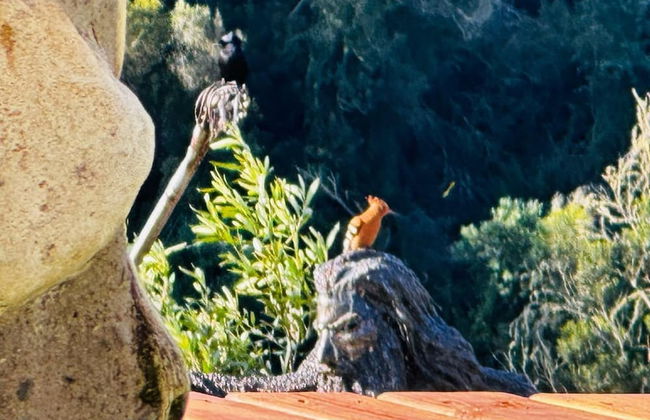 Amazing Riverside Retreat With Hot Tub & Ecopool - Foto 13