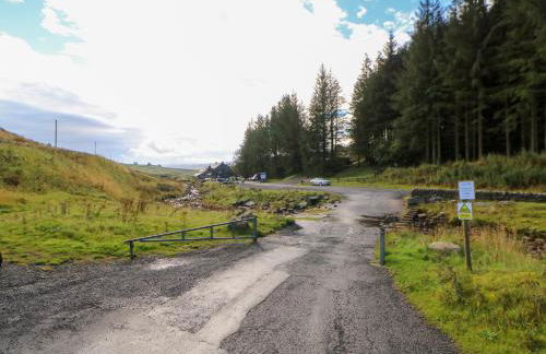 The Museum - Foto 31