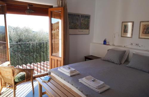 Casa Rural Finca Flores Amarillas - Foto 13