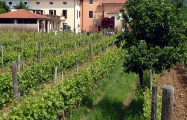 Agriturismo Grillo Iole - Foto 24