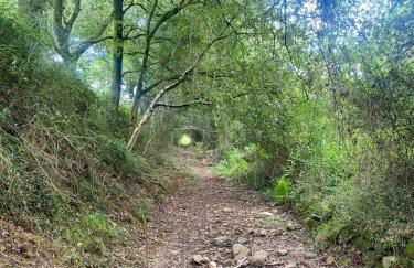 BILBO Near ático rural con terraza - Foto 42