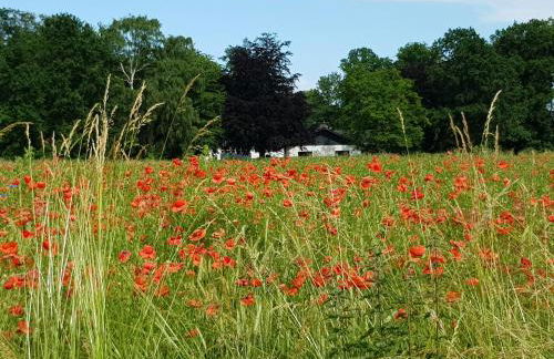 Wohnung Marina Lust auf Zuhause Ferien in der Provinz - Foto 6