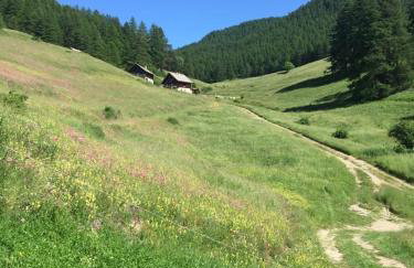 Chalet Alpage aux portes du Queyras - Foto 14