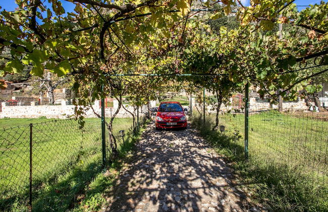 Ifigenia Theriso Village - Foto 21