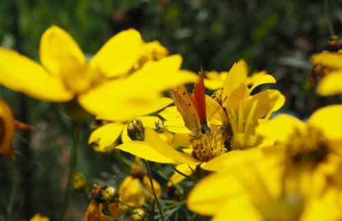 Agroturystyka Akacjowe Zacisze - Foto 47