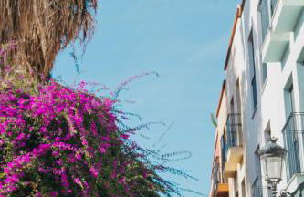 Picasso Premium Apartment - Photo 75