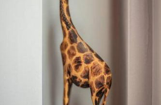 New Distinctive Historical Unit from 5 Star Host - Foto 15