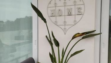 Ca Na Xisca - Foto 3