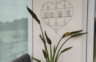 Ca Na Xisca - Foto 3