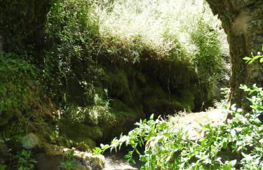 La Nichoule - Foto 19