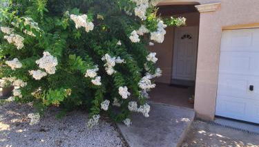 Family villa in Salles-d'Aude - Foto 3