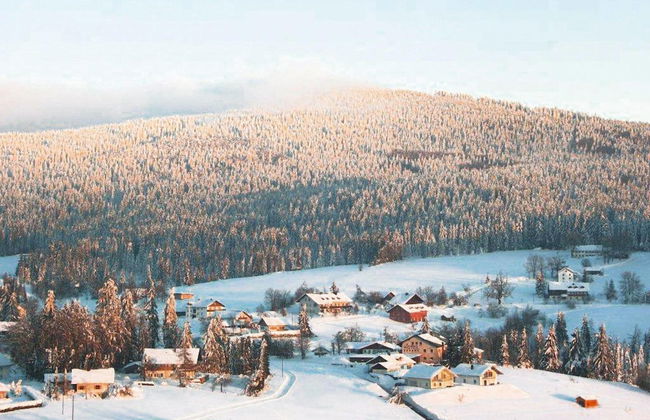 Apartment in Haidmuhle With Balcony or Terrace - Foto 20