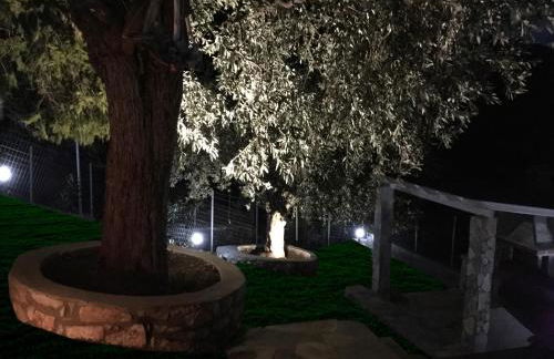 Villa Anna - Foto 43