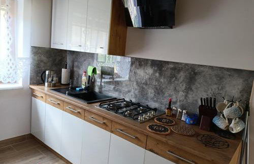 Domki Bieszczadzka Chata - Photo 6